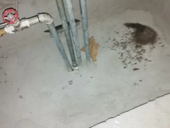 翁源卫生间测漏水价格明细