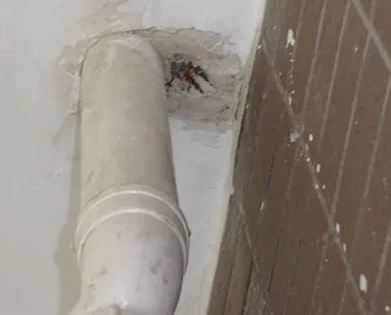 翁源漏水检测哪家好